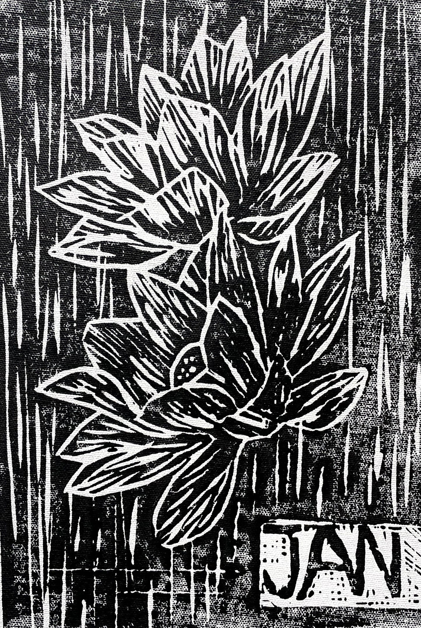 Water Lilies  |  Print